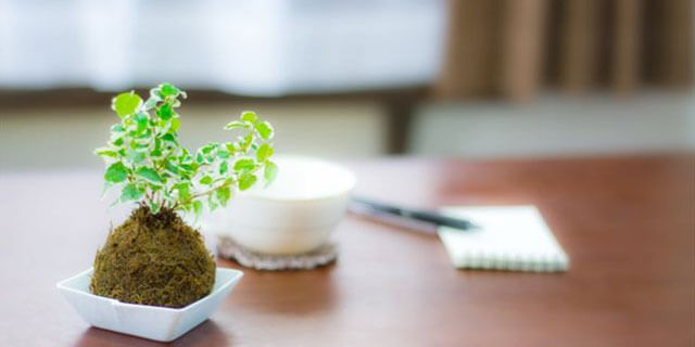 「トークCARE」（トーク ケア）の料金プラン