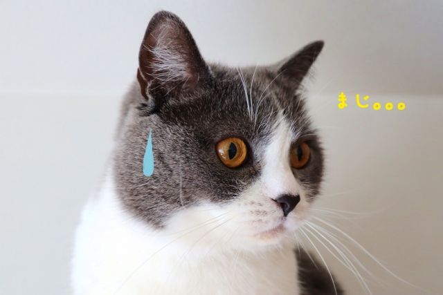 TV出演のある当たる占い師のデメリット