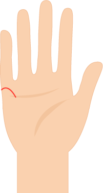 手相占い|結婚線がないあなたの出会い結婚生活状態とは